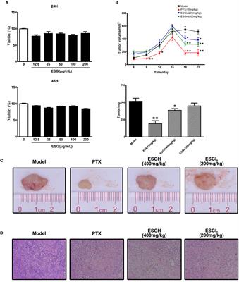 Antitumor Activity of Extract From the Sporoderm-Breaking Spore of Ganoderma lucidum: Restoration on Exhausted Cytotoxic T Cell With Gut Microbiota Remodeling